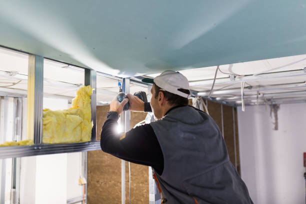 Best Specialty Insulation in Shongopovi, AZ