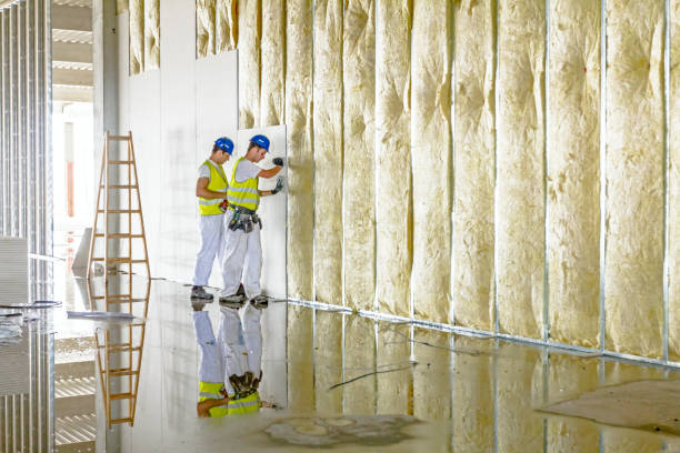 Best Insulation Maintenance and Repair in Shongopovi, AZ